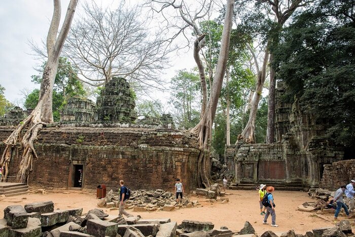 The uniqueness of Ta Prohm's architecture